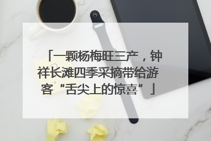 一颗杨梅旺三产，钟祥长滩四季采摘带给游客“舌尖上的惊喜”