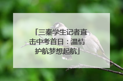 三秦学生记者直击中考首日：温情护航梦想起航