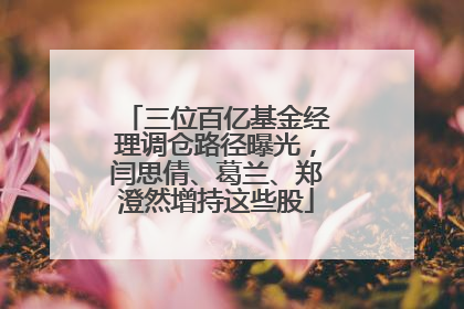 三位百亿基金经理调仓路径曝光，闫思倩、葛兰、郑澄然增持这些股