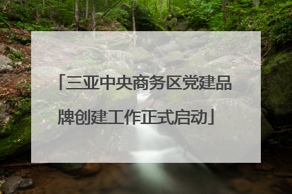 三亚中央商务区党建品牌创建工作正式启动