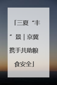 三夏“丰”景｜京冀携手共助粮食安全