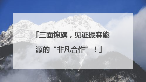 三面锦旗，见证振森能源的“非凡合作”！