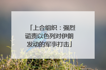 上合组织：强烈谴责以色列对伊朗发动的军事打击
