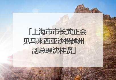 上海市市长龚正会见马来西亚沙捞越州副总理沈桂贤