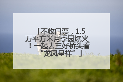 不收门票，1.5万平方米月季园爆火！一起去三好桥头看“龙凤呈祥”