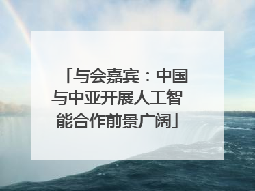 与会嘉宾：中国与中亚开展人工智能合作前景广阔