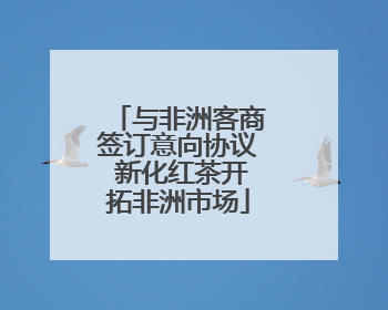 与非洲客商签订意向协议 新化红茶开拓非洲市场