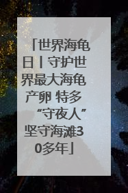 世界海龟日丨守护世界最大海龟产卵 特多“守夜人”坚守海滩30多年