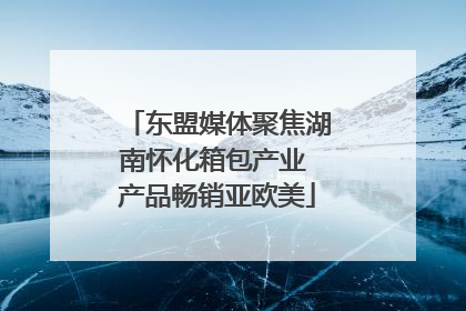 东盟媒体聚焦湖南怀化箱包产业 产品畅销亚欧美