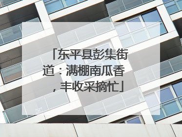 东平县彭集街道：满棚南瓜香，丰收采摘忙