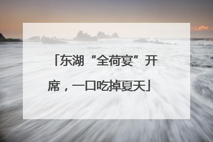 东湖“全荷宴”开席，一口吃掉夏天
