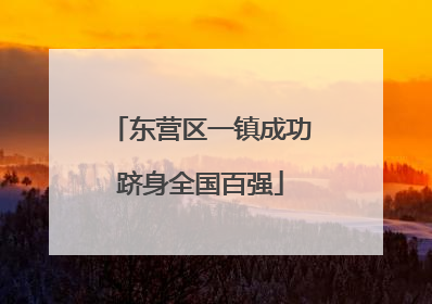 东营区一镇成功跻身全国百强