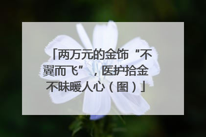 两万元的金饰“不翼而飞”，医护拾金不昧暖人心（图）