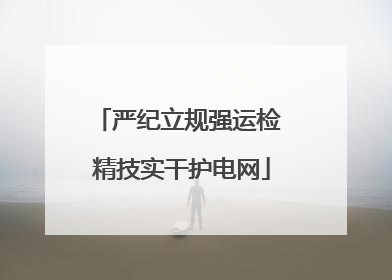 严纪立规强运检 精技实干护电网