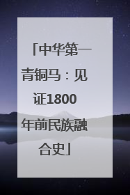 中华第一青铜马：见证1800年前民族融合史