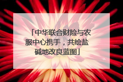 中华联合财险与农服中心携手，共绘盐碱地改良蓝图
