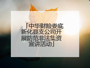 中华财险娄底新化县支公司开展防范非法集资宣讲活动