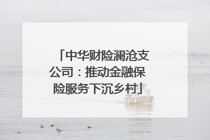 中华财险澜沧支公司：推动金融保险服务下沉乡村