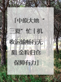 中原大地“三夏”忙丨机收运输畅行无阻 金粒归仓保障有力