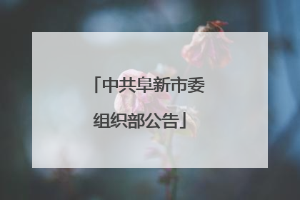 中共阜新市委组织部公告