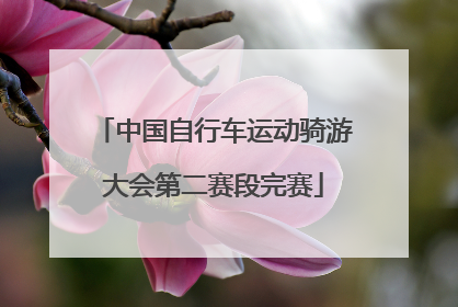 中国自行车运动骑游大会第二赛段完赛