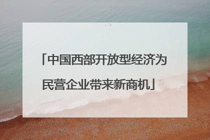 中国西部开放型经济为民营企业带来新商机