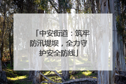 中安街道：筑牢防汛堤坝，全力守护安全防线