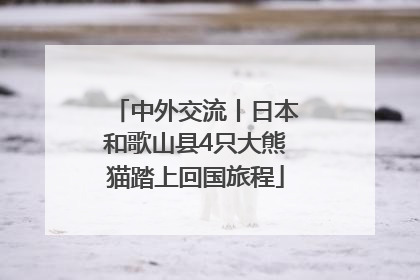 中外交流丨日本和歌山县4只大熊猫踏上回国旅程