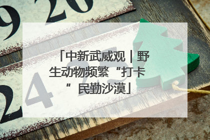 中新武威观｜野生动物频繁“打卡”民勤沙漠