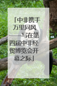 中非携手 万里同风——写在第四届中非经贸博览会开幕之际