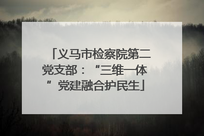 义马市检察院第二党支部：“三维一体”党建融合护民生