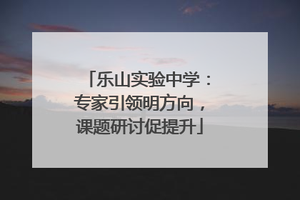 乐山实验中学：专家引领明方向，课题研讨促提升