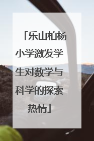 乐山柏杨小学激发学生对数学与科学的探索热情