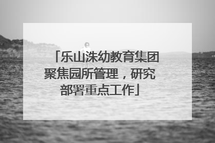 乐山洙幼教育集团聚焦园所管理，研究部署重点工作