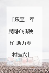 乐至：军民同心插秧忙 助力乡村振兴