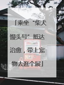 乘坐“柴犬馒头号”抵达治愈，带上宠物去逛个展