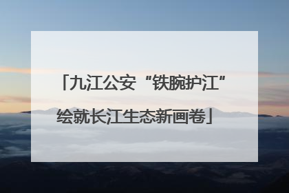 九江公安“铁腕护江”绘就长江生态新画卷