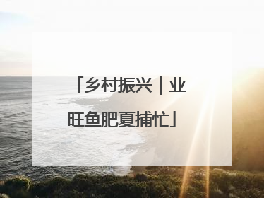 乡村振兴｜业旺鱼肥夏捕忙