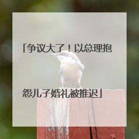 争议大了！以总理抱怨儿子婚礼被推迟