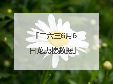 二六三6月6日龙虎榜数据