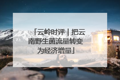 云岭时评｜把云南野生菌流量转变为经济增量