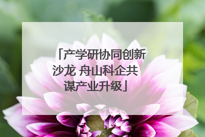 产学研协同创新沙龙 舟山科企共谋产业升级