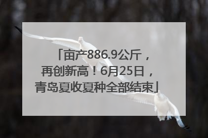 亩产886.9公斤，再创新高！6月25日，青岛夏收夏种全部结束