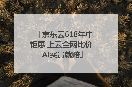 京东云618年中钜惠 上云全网比价 AI买贵就赔