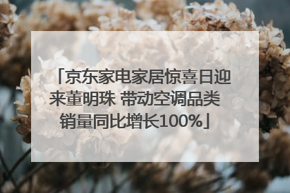 京东家电家居惊喜日迎来董明珠 带动空调品类销量同比增长100%