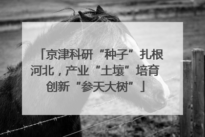 京津科研“种子”扎根河北，产业“土壤”培育创新“参天大树”