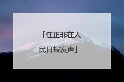任正非在人民日报发声