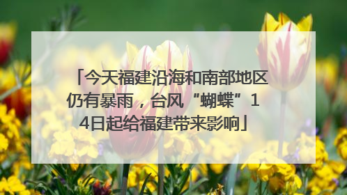 今天福建沿海和南部地区仍有暴雨，台风“蝴蝶”14日起给福建带来影响