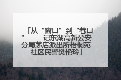 从“窗口”到“巷口”——记东湖高新公安分局茅店派出所梧桐苑社区民警樊艳玲