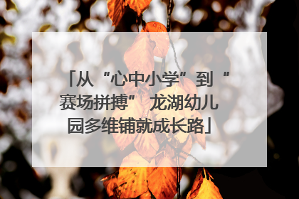 从“心中小学”到“赛场拼搏” 龙湖幼儿园多维铺就成长路